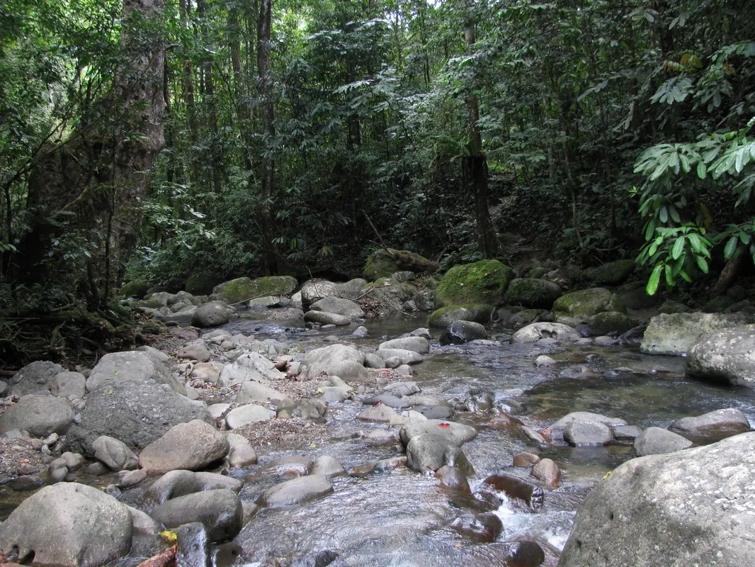 Creek crossing on the Kokoda Track