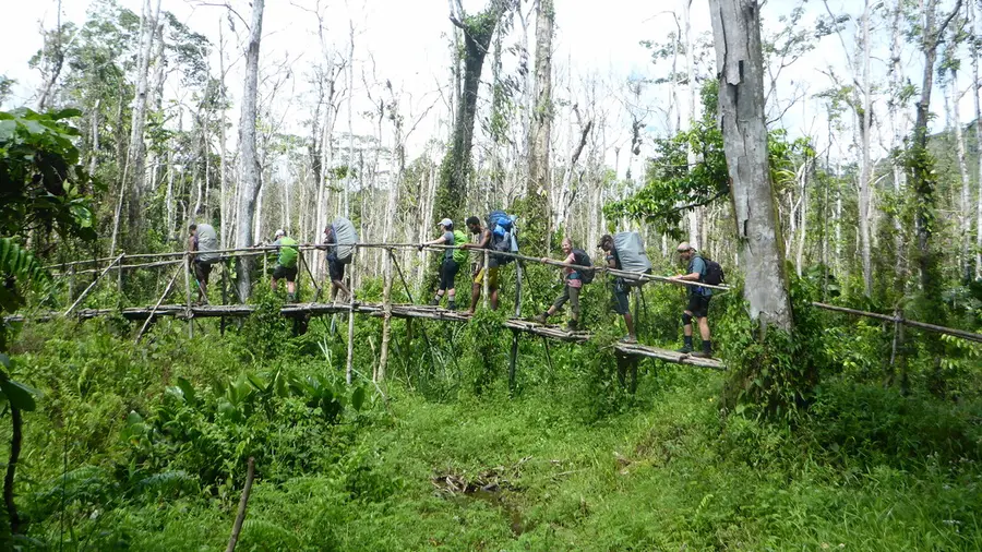 A bridge on the Track
