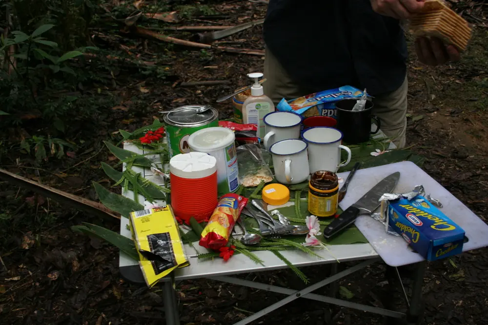 Camp dining table