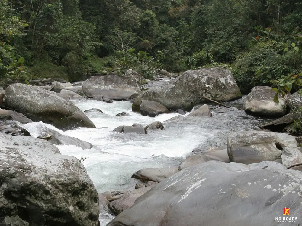 A clear creek on the Track
