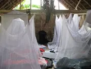 Mosquito nets in a village guest house