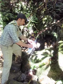 Collecting water from a spring