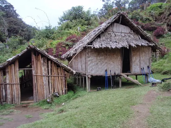 Village huts