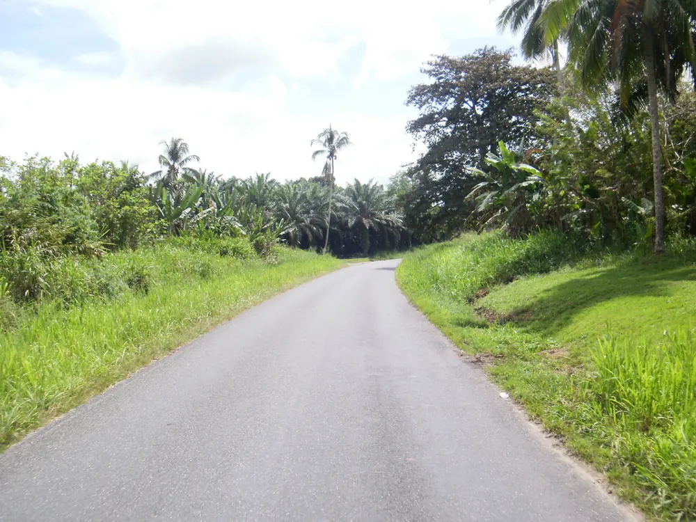 Trekkers on an open stretch